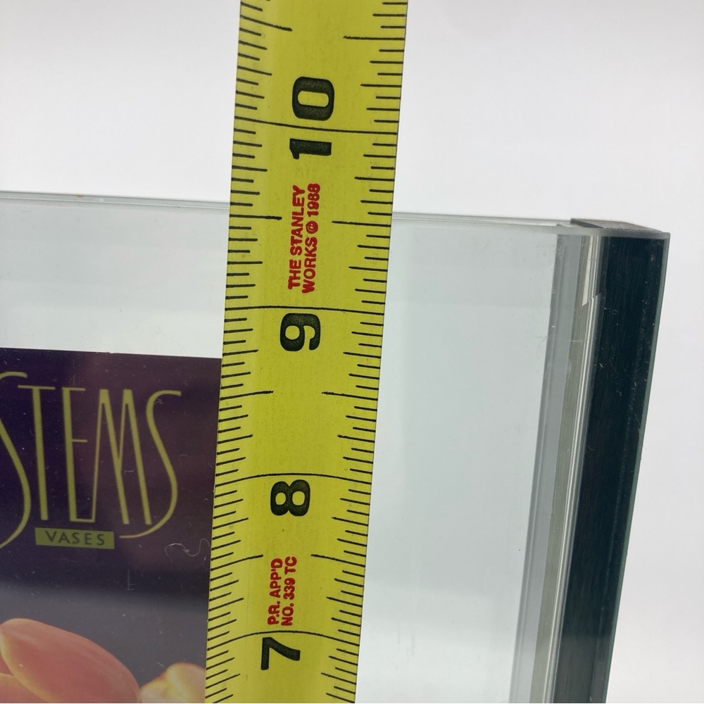 New Stems Vases vertical sleek glass vase anacortes WA - Picture 6 of 10